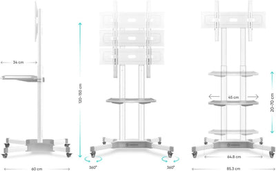 ONKRON Universal TV Ständer rollbar 32-65 Zoll TV bis 50 kg, Fernsehständer