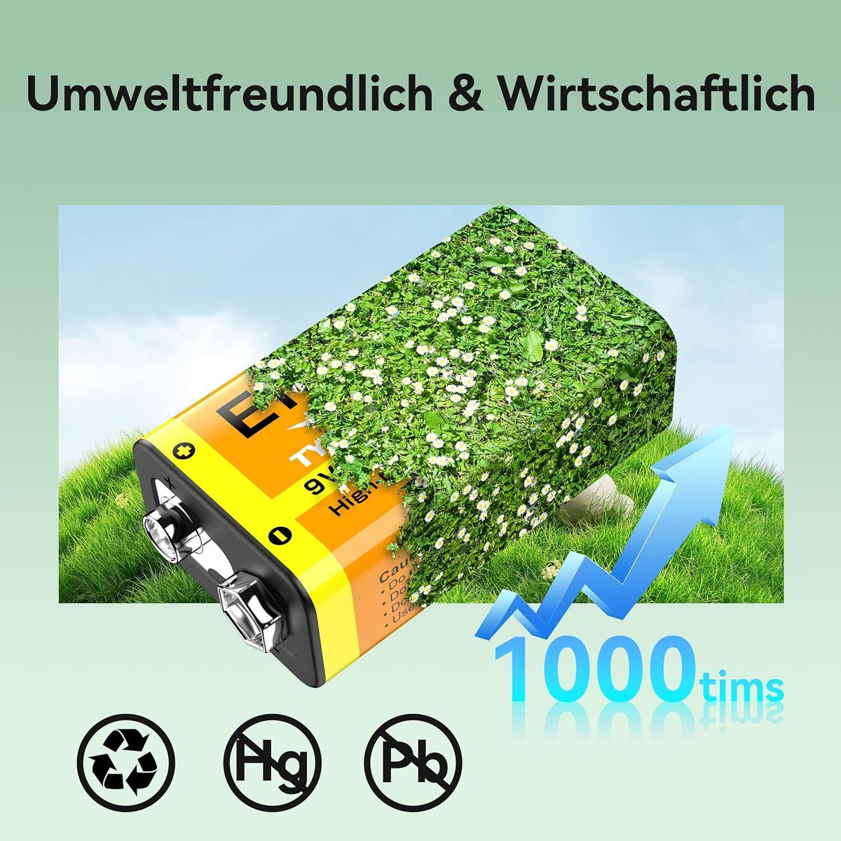 9060101