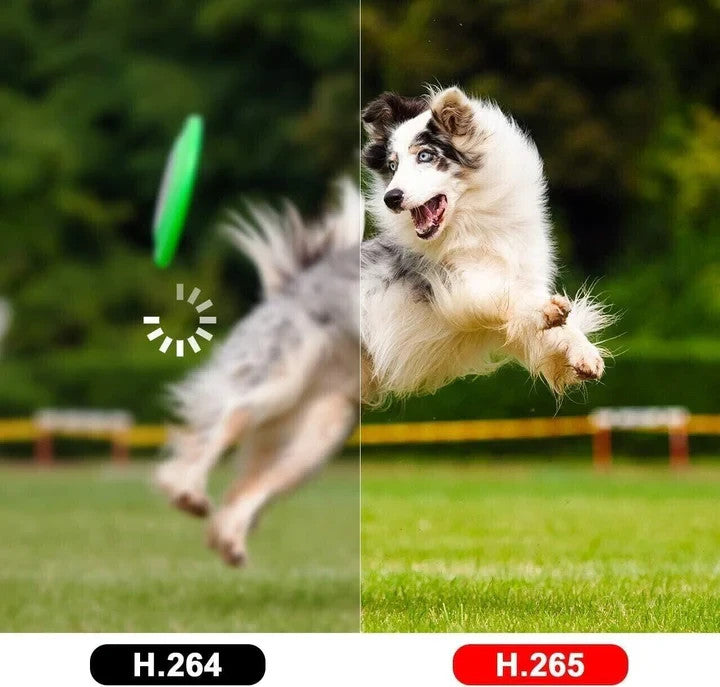7699528