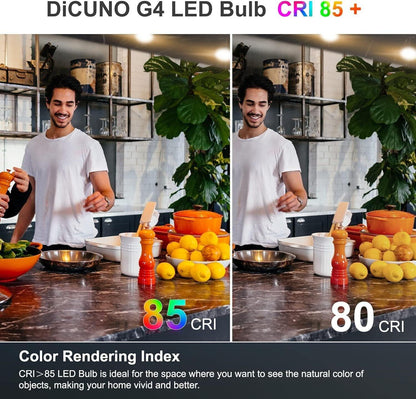 DiCUNO G4 LED Lampe 2W ersetzt für 20W Halogenbirne, Kaltweiß 6000K,