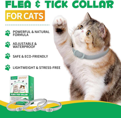Zecken-Flohband Katze, Flohhalsband für Katzen 4Pcs, 24 Monate lang wirksamer Sc