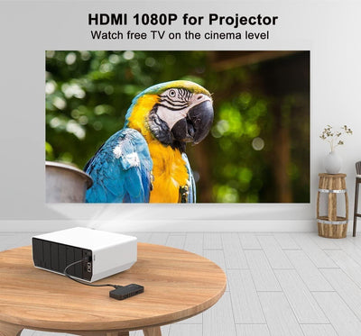DCOLOR Decoder DVBT2 Digitaler terrestrischer Receiver Mini HDMI Stick HD1080P H
