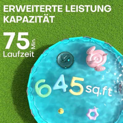 6081381