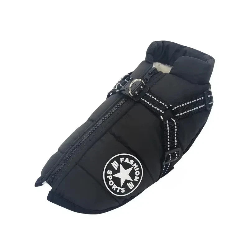 https://i.ebayimg.com/00/s/ODAwWDgwMA==/z/PzQAAeSwU9Bp8jtj/$_57.JPG