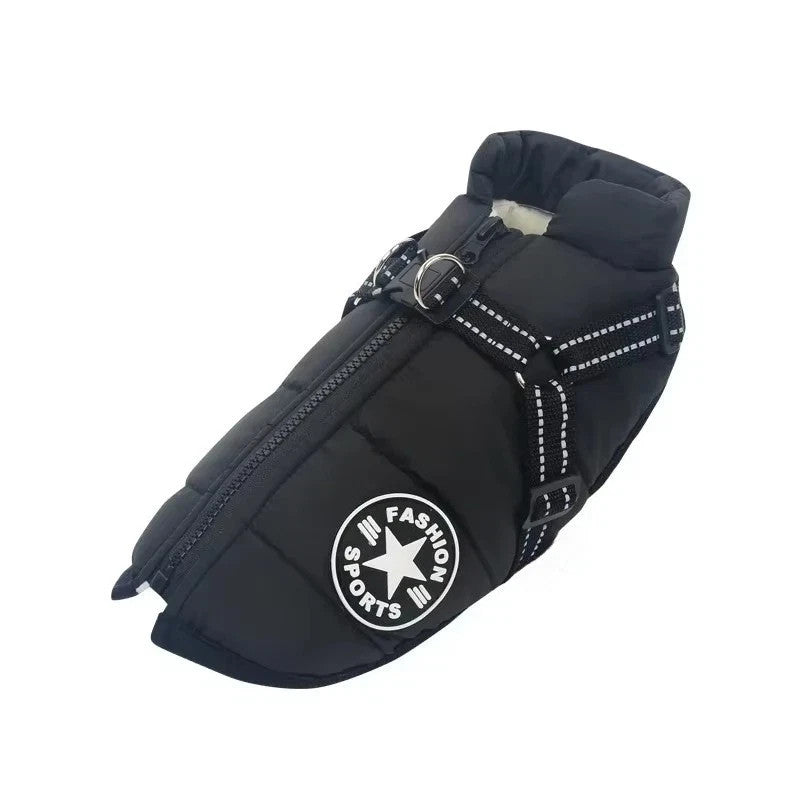 https://i.ebayimg.com/00/s/ODAwWDgwMA==/z/B8gAAeSwppNp8jtj/$_57.JPG