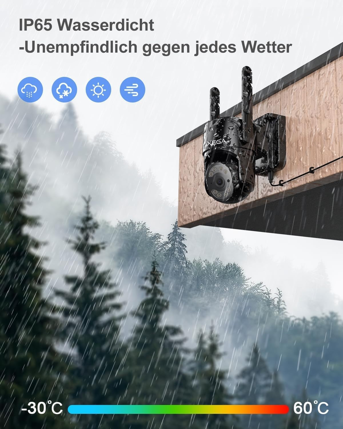 https://i.ebayimg.com/00/s/MTUwMFgxMjAw/z/JTYAAeSwzrlqBbQB/$_57.JPG
