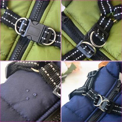 https://i.ebayimg.com/00/s/ODAwWDgwMA==/z/Gd8AAeSwcCJp8jtM/$_57.JPG