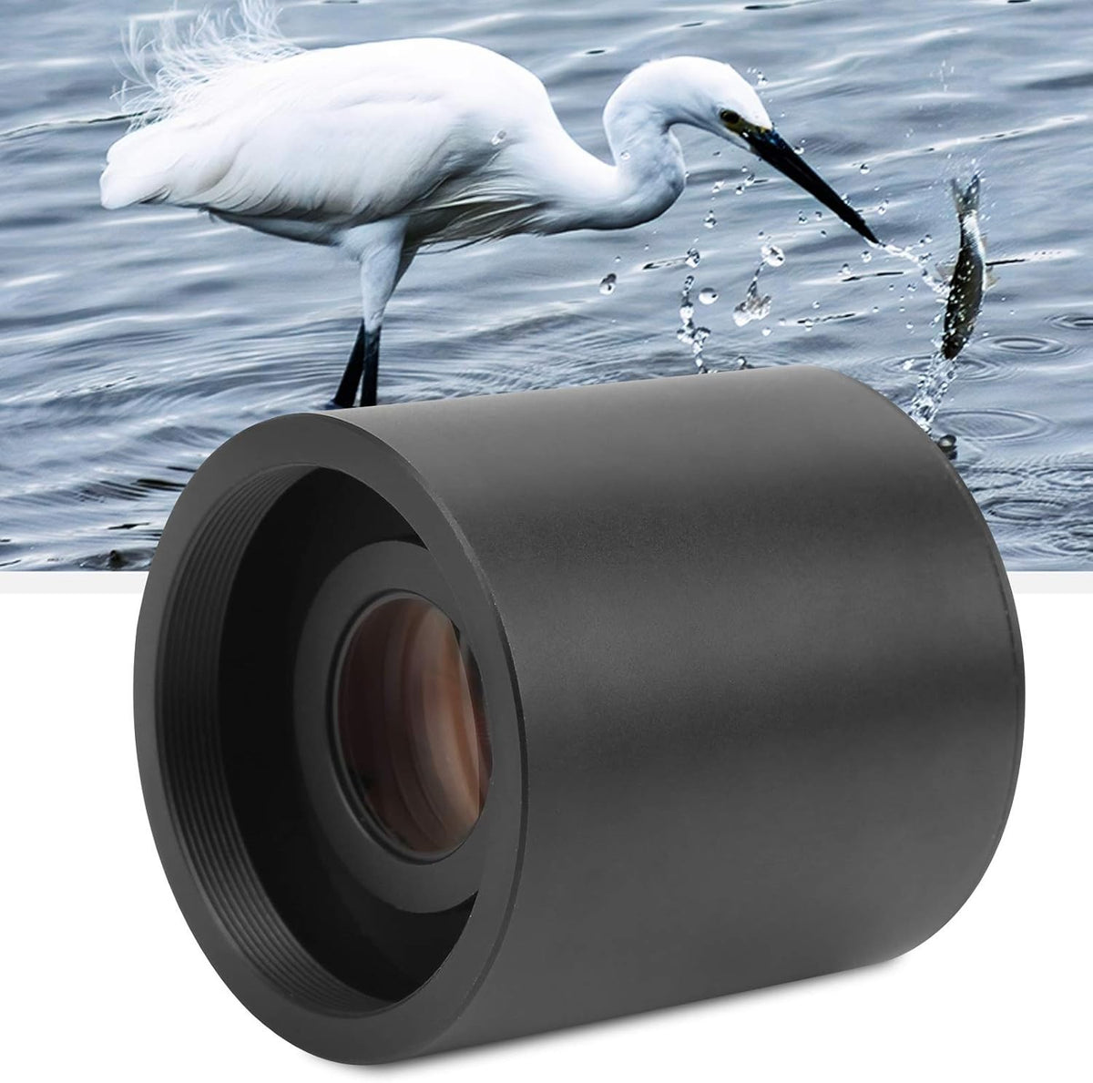 8997552